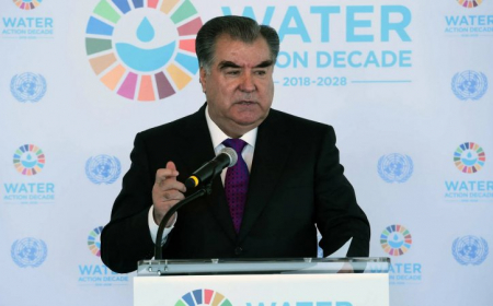 Таджикистан смог внести ценный вклад в решение глобальных проблем за короткий период