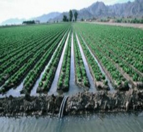 Проблемы водохозяйственного комплекса Таджикистана и пути их решения